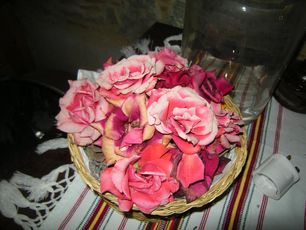 Lasmari'S Bouquet Sykopetra Quarto foto